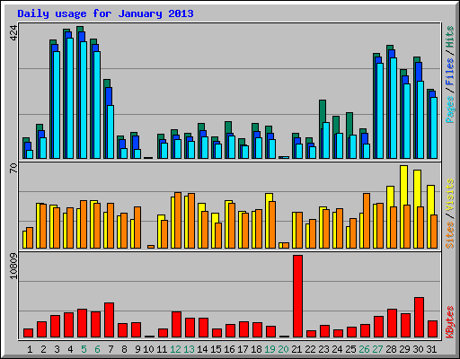 Daily usage for January 2013