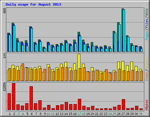 Daily usage for August 2013