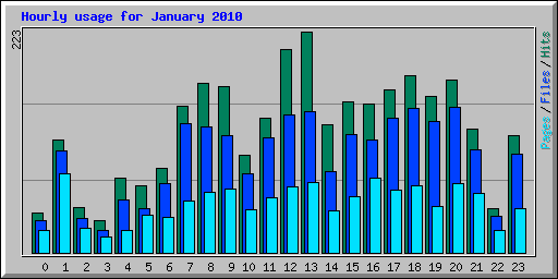 Hourly usage for January 2010