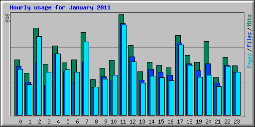 Hourly usage for January 2011