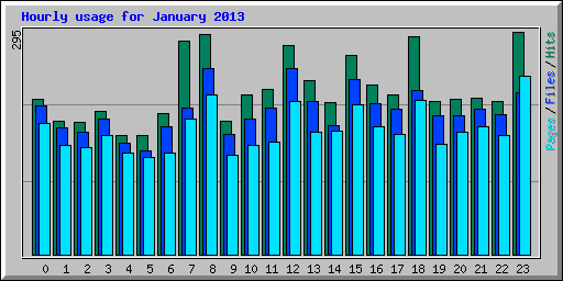 Hourly usage for January 2013