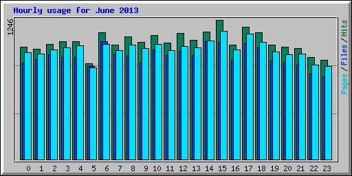 Hourly usage for June 2013