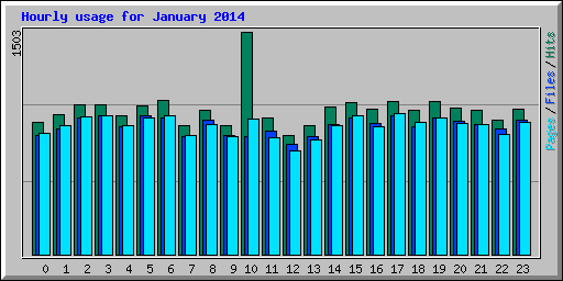 Hourly usage for January 2014