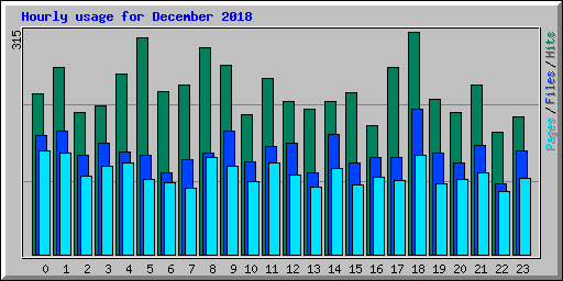 Hourly usage for December 2018